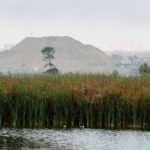 El Perú deberá invertir más de US$ 93 mil millones para ser carbono neutral en el 2050