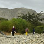 Antamina reforesta río Huarmey