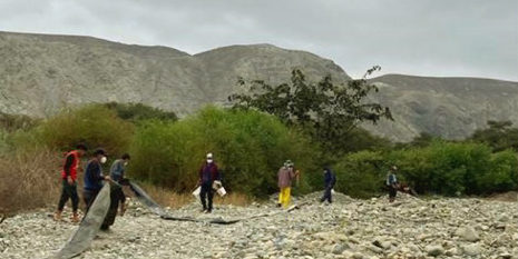 Antamina reforesta río Huarmey