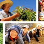 Fondo Quellaveco priorizará proyectos enfocados en salud y desarrollo económico en Moquegua