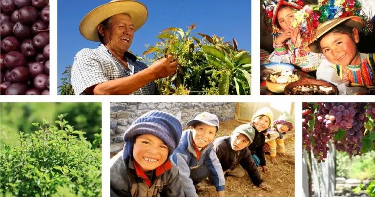 Fondo Quellaveco priorizará proyectos enfocados en salud y desarrollo económico en Moquegua