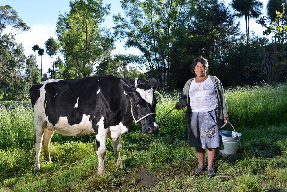 Fonceagro apoya a Cajamarca