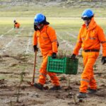 Región Puno: Proyecto de remediación Aladino VI ingresó a fase de post cierre