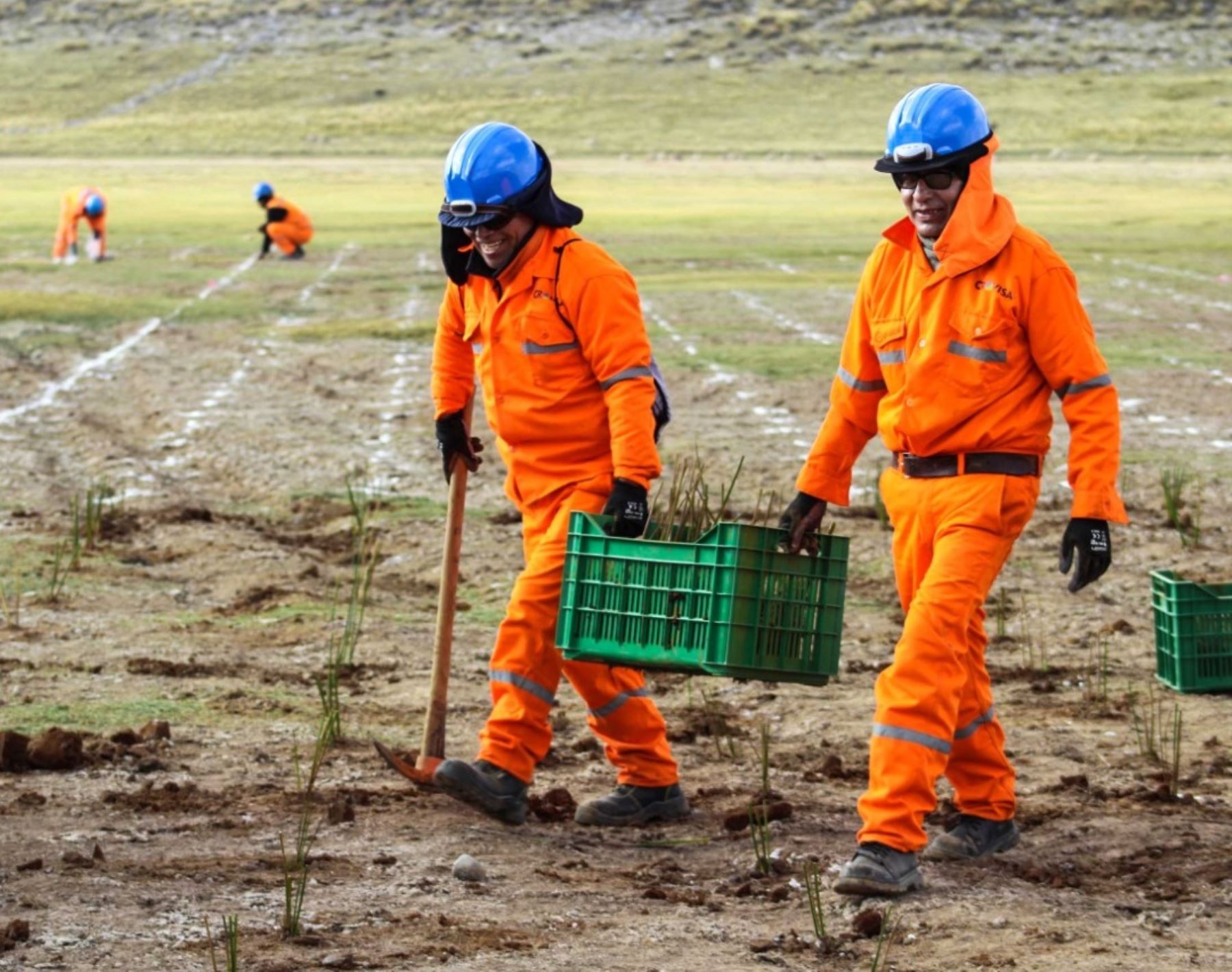 Región Puno: Proyecto de remediación Aladino VI ingresó a fase de post cierre