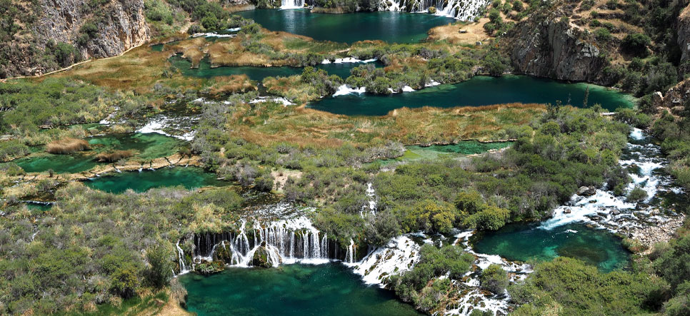 Gana premios por su trabajo con bosques