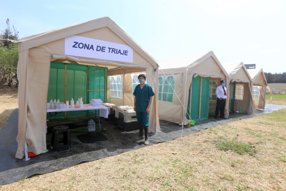 Zona de Recepción de animales y Triaje