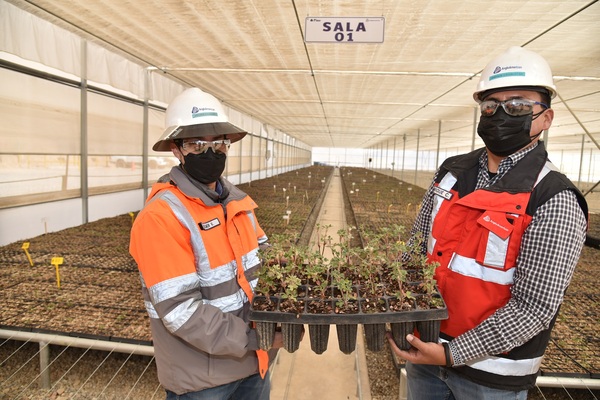 Vivero inteligente en Moquegua