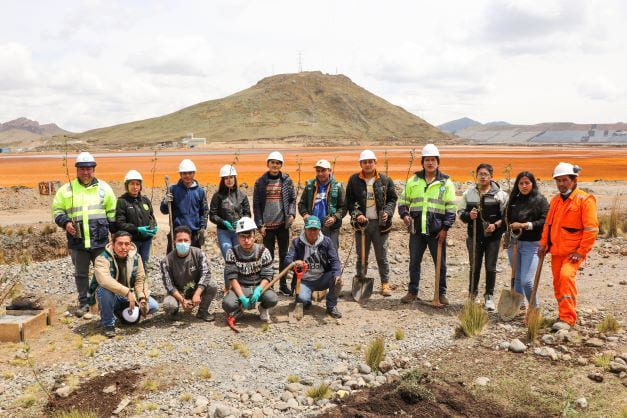 Pasco AMSAC y Universidad Daniel Alcides Carrión realizan forestación de más de 100 quinuales