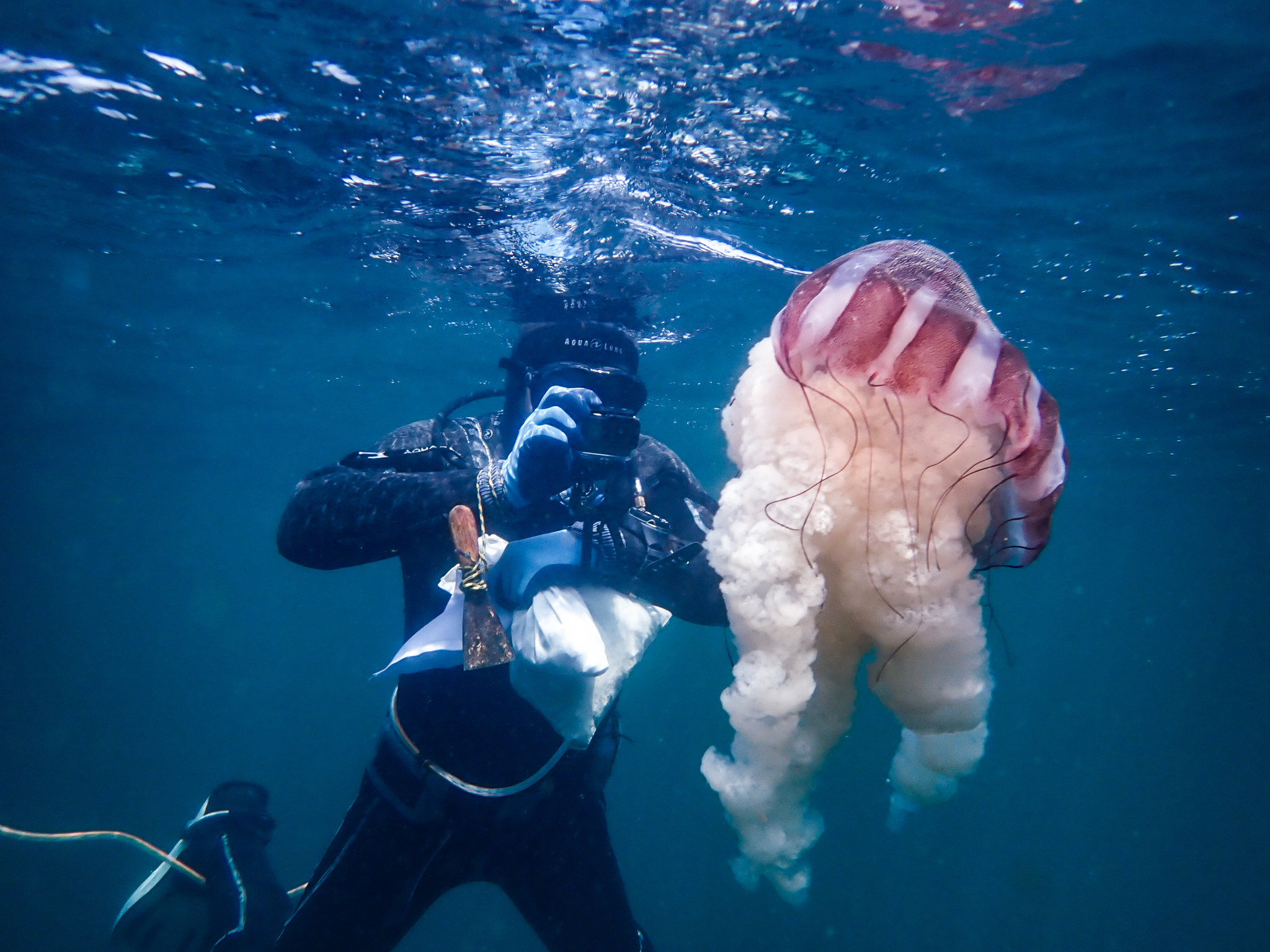 ONG Oannes constata que fondos submarinos se encuentran sin presencia de hidrocarburos