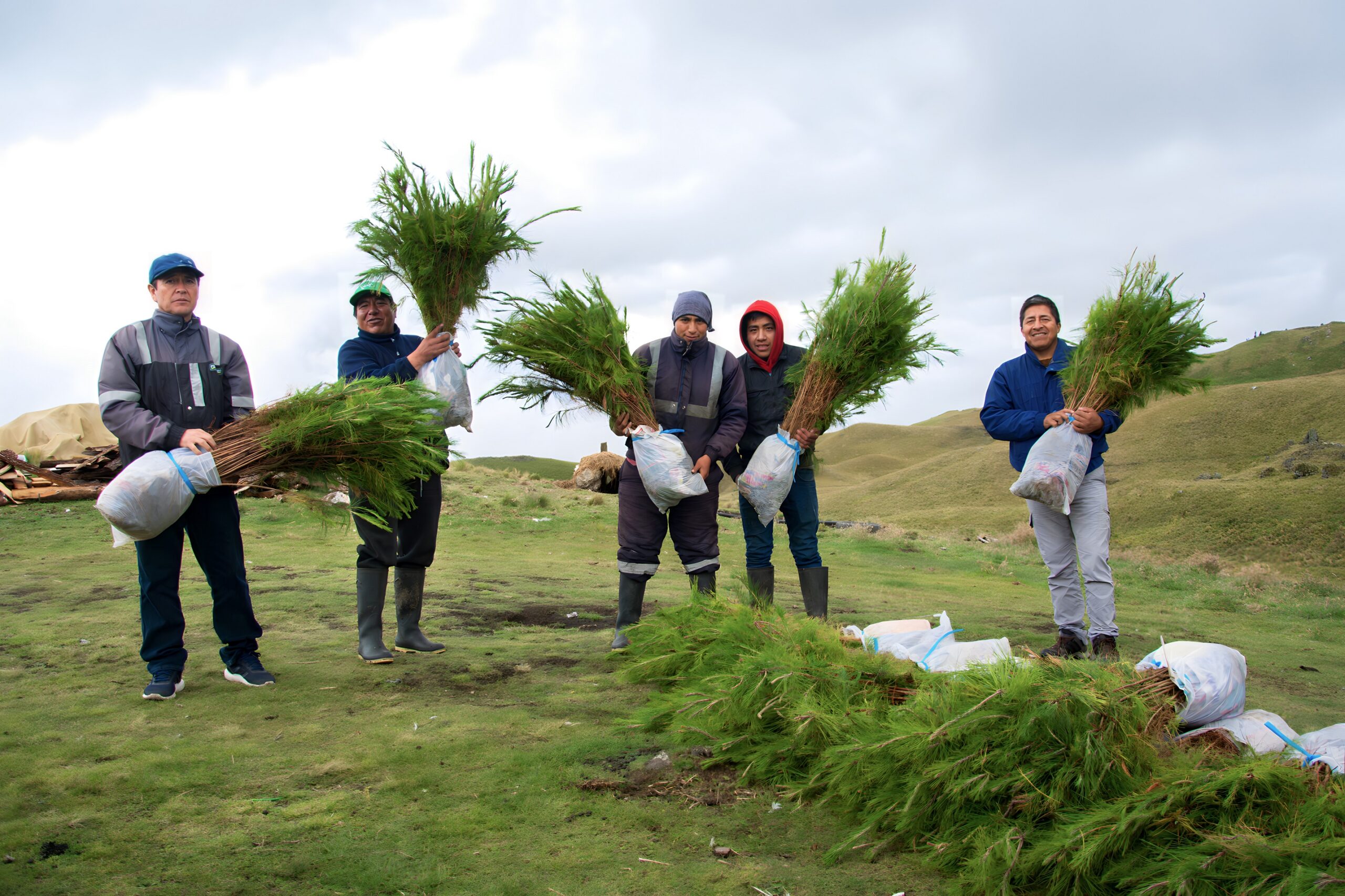 Anuncian campaña de forestación 2023 en Cajamarca “Juntos por una huella verde”