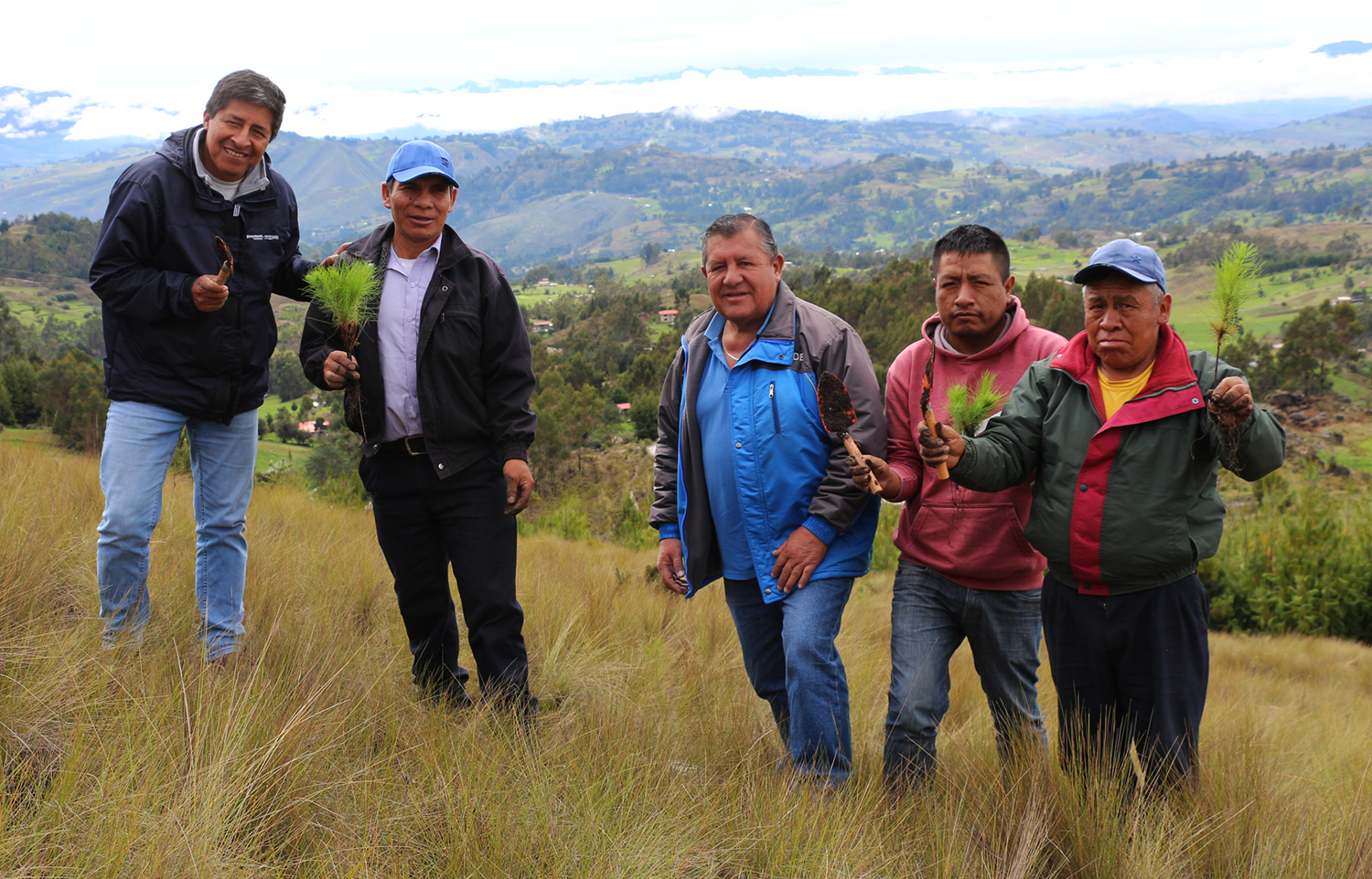 Baños del Inca se suma al proyecto “Huella Verde” para plantar un millón de árboles en Cajamarca