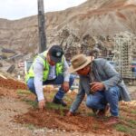 La Oroya AMSAC sumó esfuerzos en reforestación de más de 500 quenuales y pinos