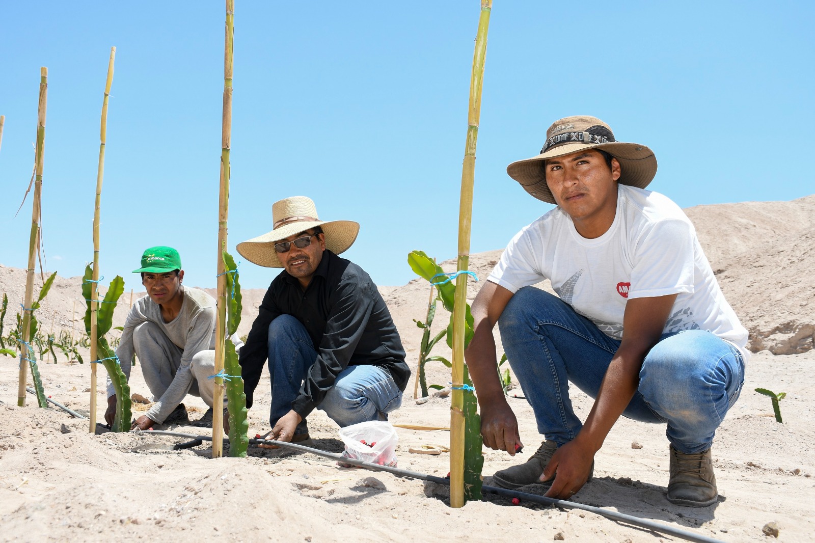 Agro Quellaveco lanza fondo de 2 millones para la Junta de Usuarios de Moquegua