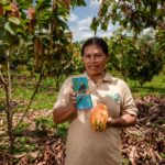 Camisea impulsa la producción de cacao en la Comunidad Nativa Kirigueti