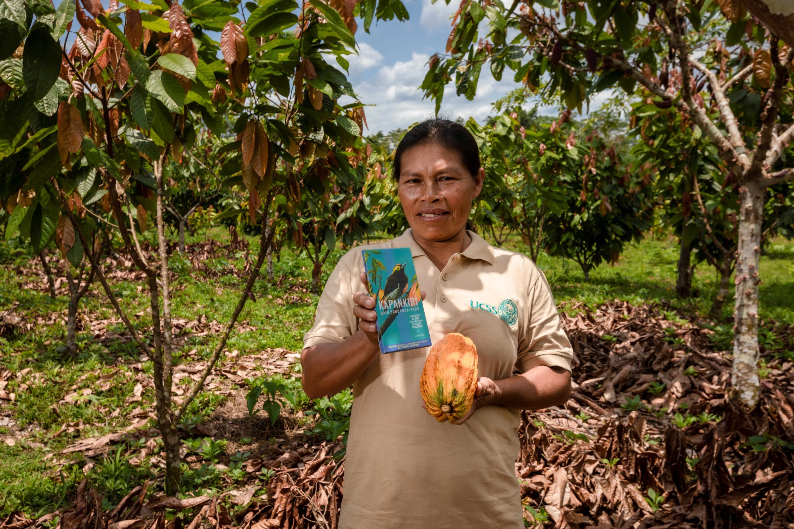 Camisea impulsa la producción de cacao en la Comunidad Nativa Kirigueti