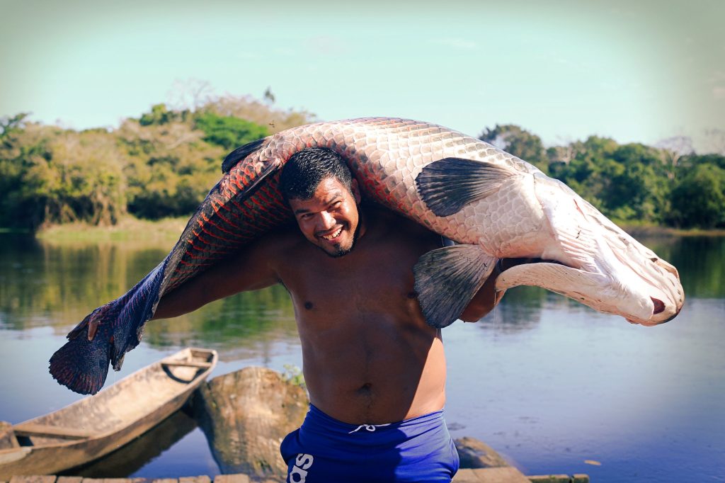 Pescador de Puinahua compartirá técnicas que aprendió en Chile para optimizar el aprovechamiento del paiche