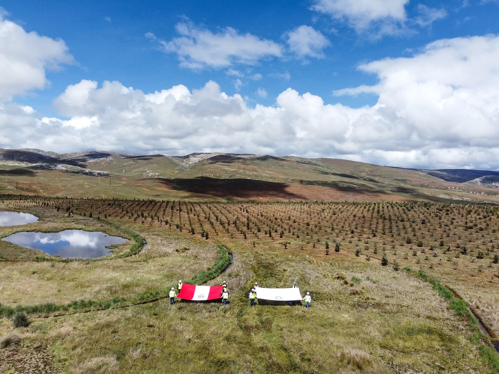 Remediación ambiental