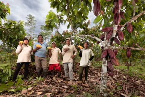 cacao