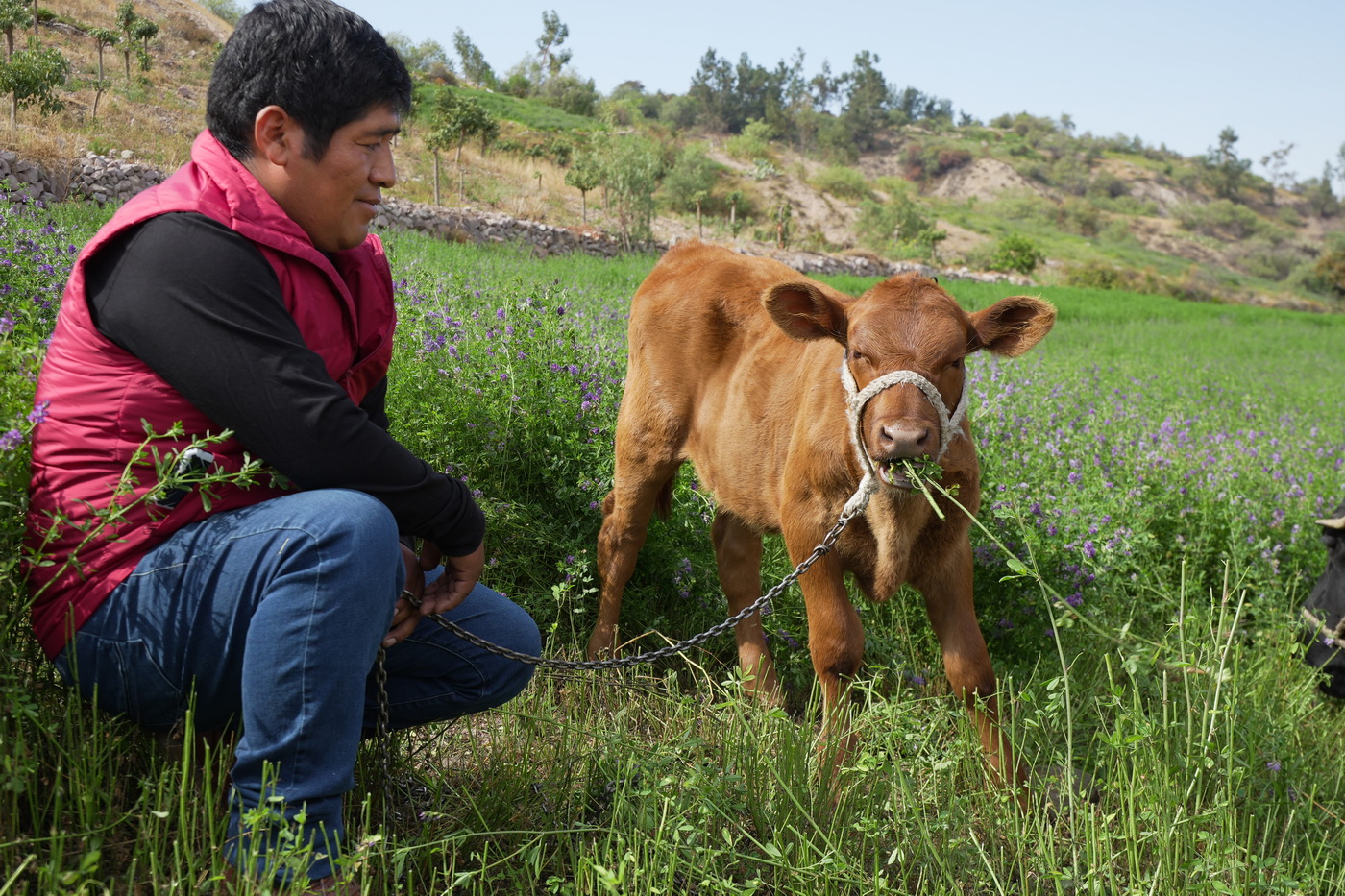 Southern Perú