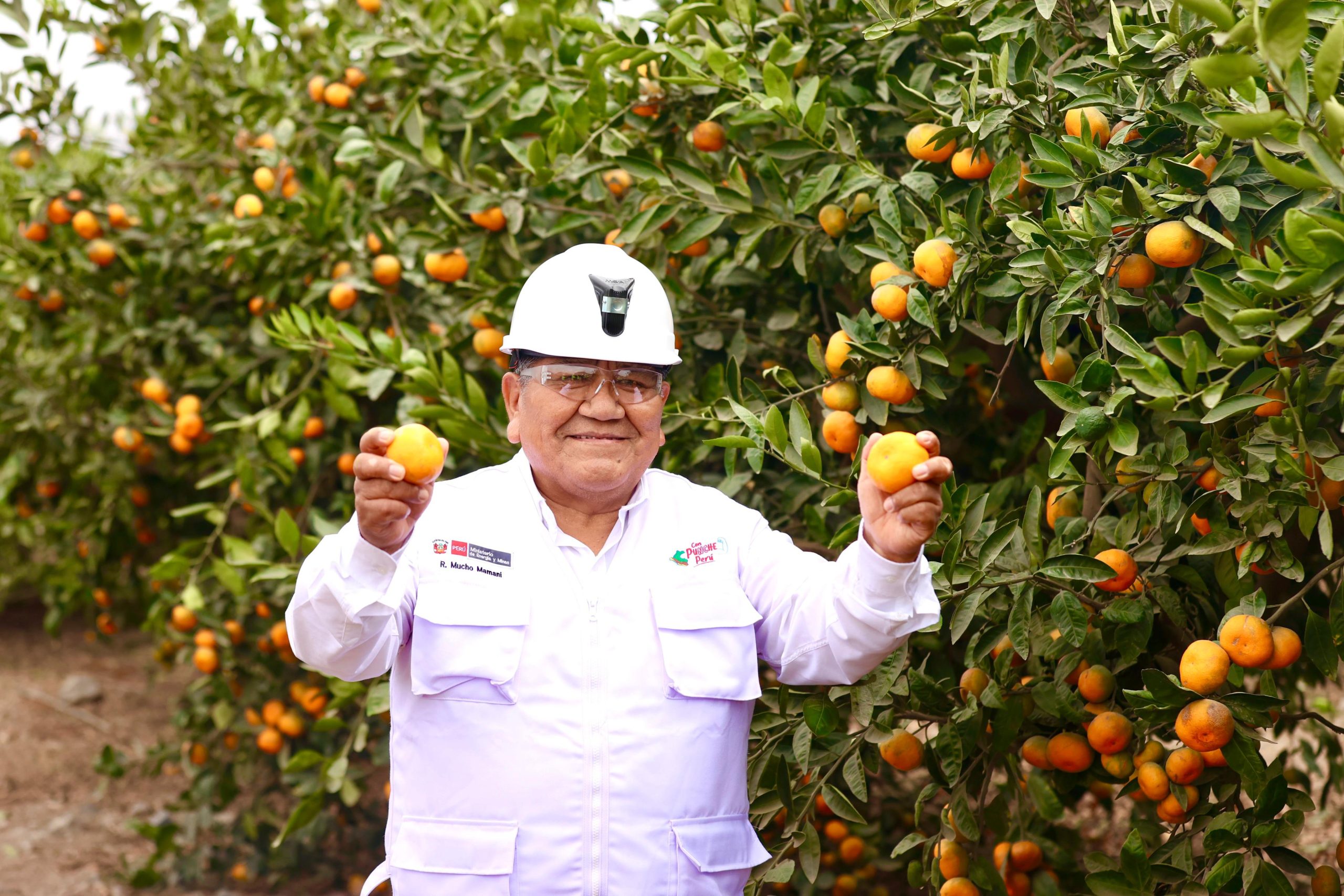 Minería y agricultura