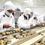 exportaciones