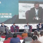 Panel de gas natural