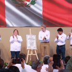 Arequipa planta