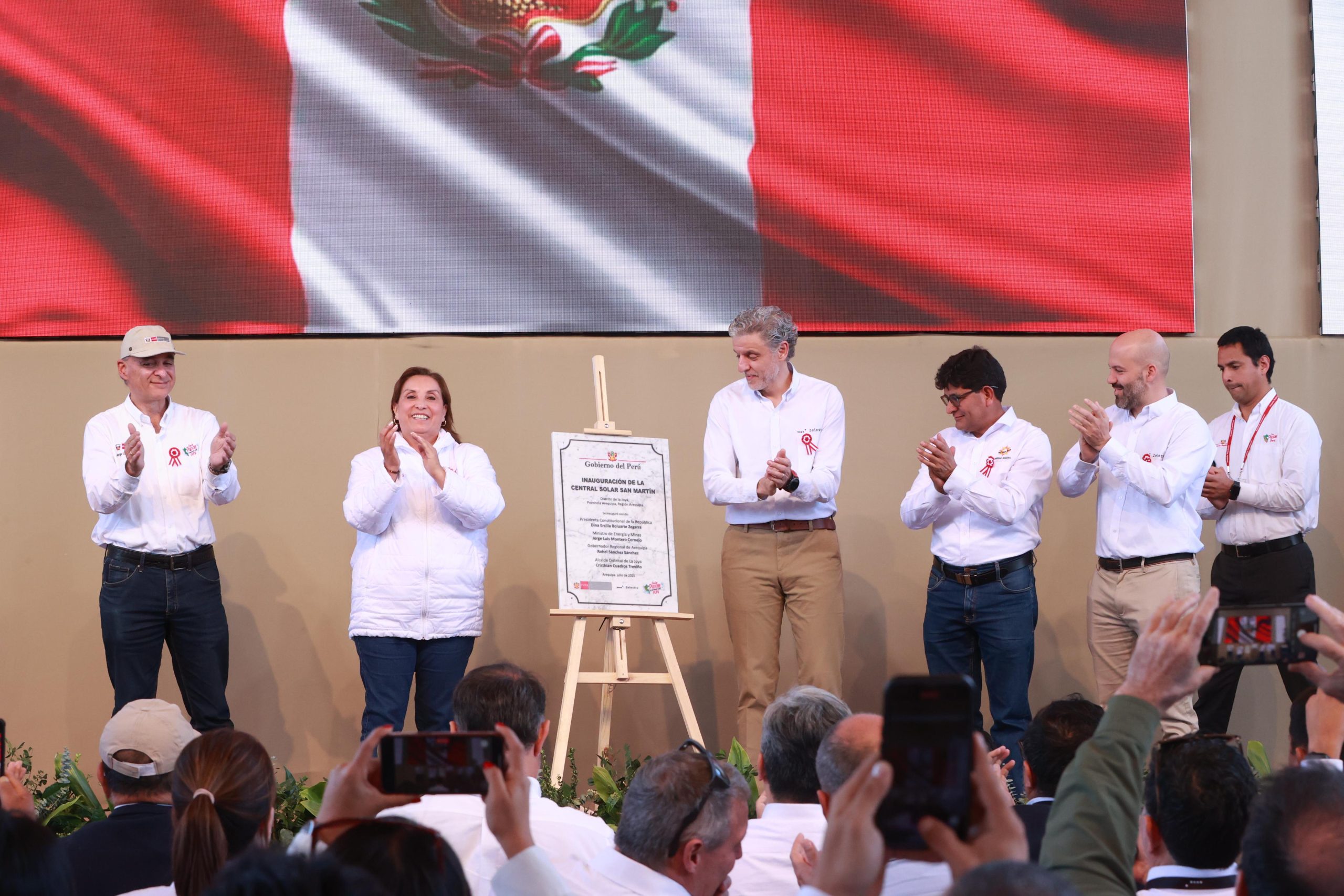 Arequipa planta