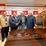 Electrosur MPT