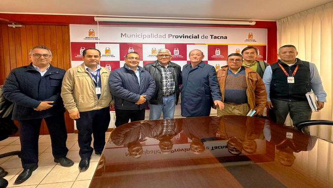 Electrosur MPT
