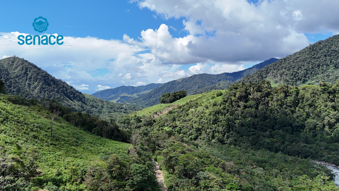 Senace huanuco
