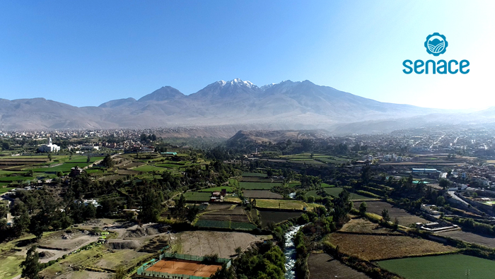 Zafranal