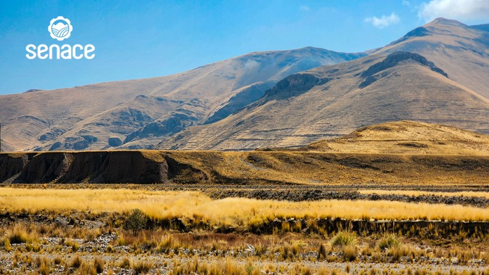 San Rafael