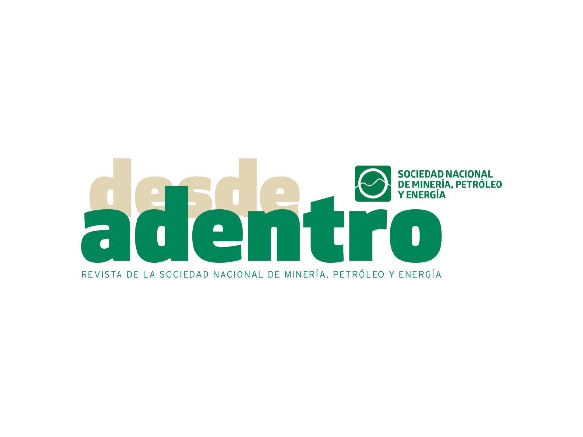 Logo de Desde adentro