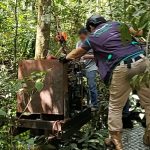 Operativo contra la minería ilegal