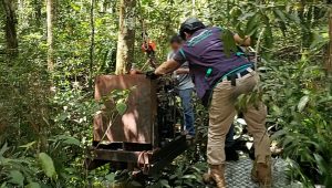 Operativo contra la minería ilegal