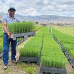 Alianzas por PERU LNG