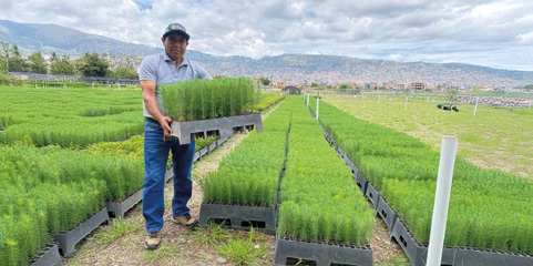 Alianzas por PERU LNG
