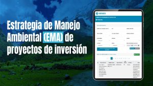 Estrategias de Manejo Ambiental