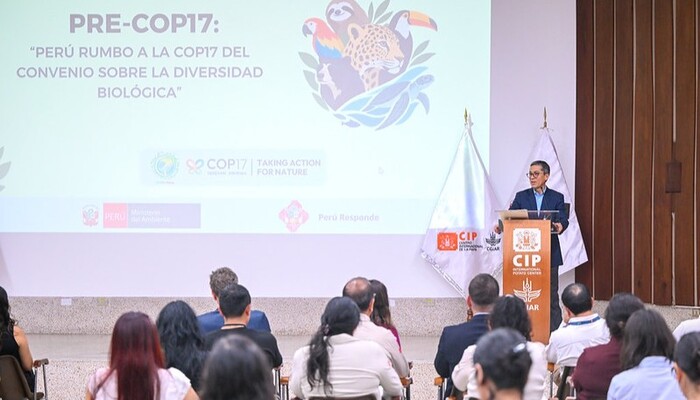 Preparación para reuniones COP